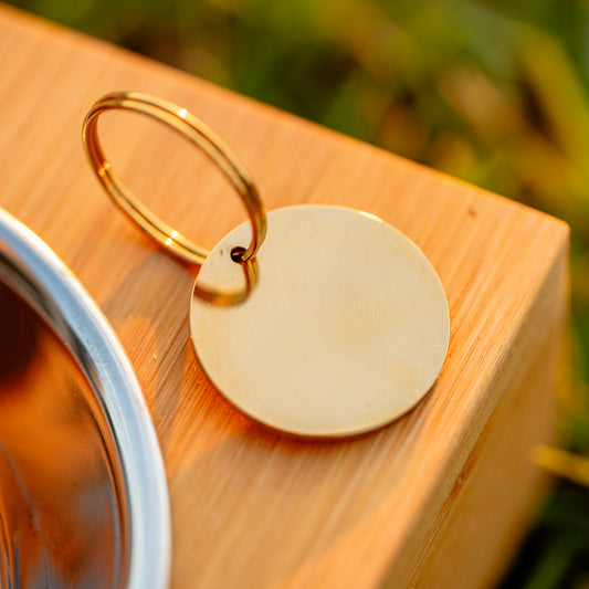 25mm Gold Dog Tag